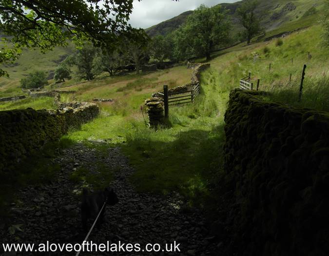 The path to the open fellside