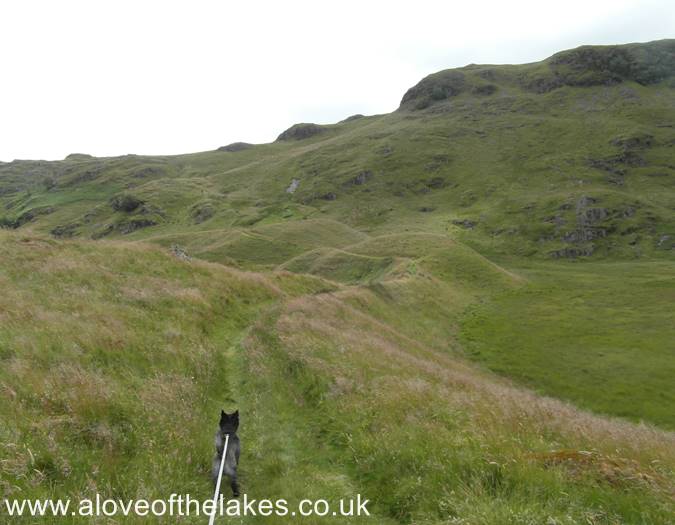 Following the grass track