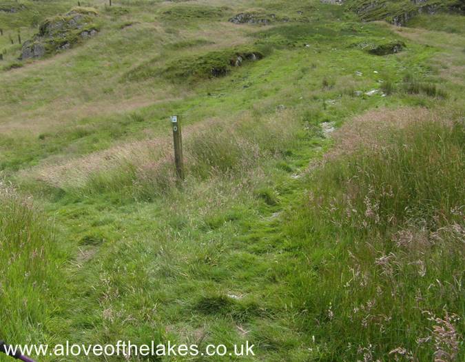 One of the RSPB trail markers