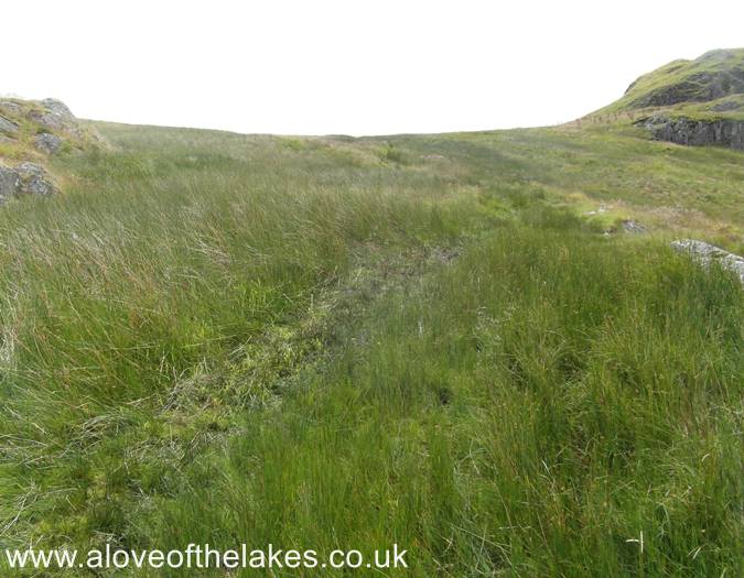 The reemergence of the path