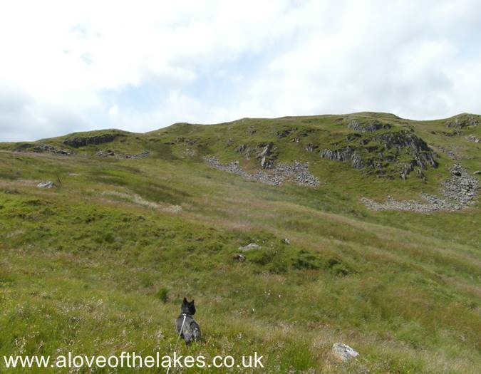 Heading towards Nabs Moor