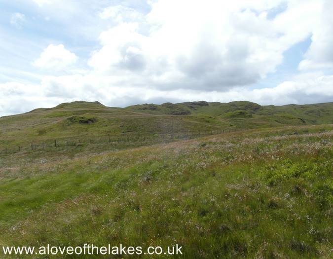 Heading towards the wire fence and the summit beyond