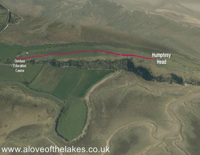 Terrain image