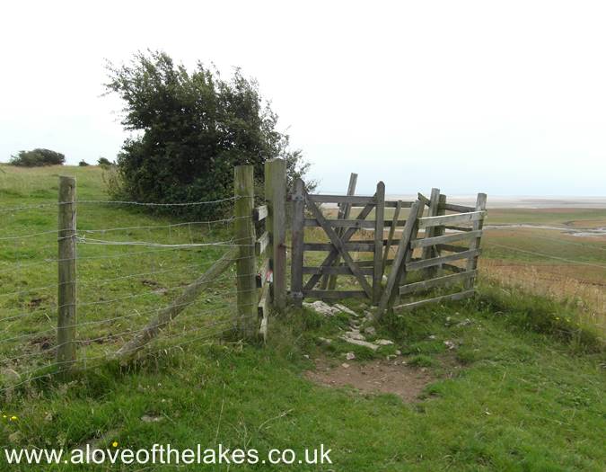 The sheep pen gate