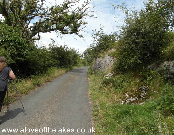 The tarmac road to the Centre