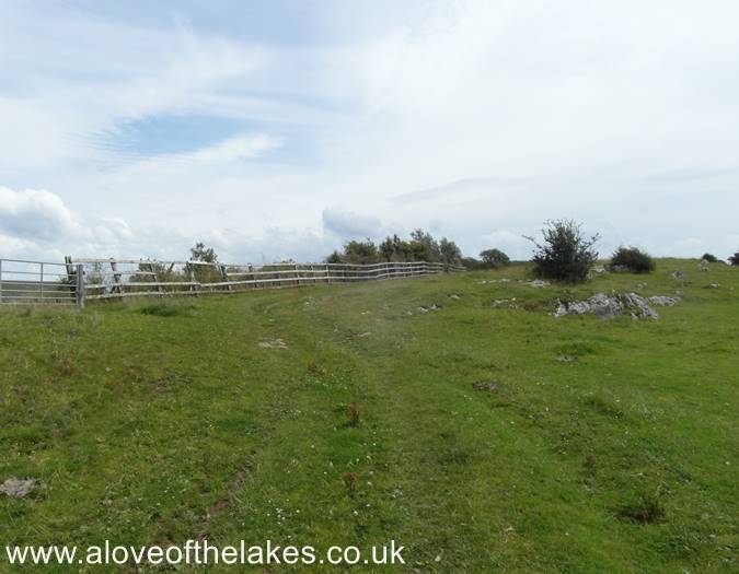 The grass track