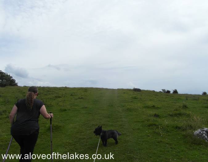Crossing the field
