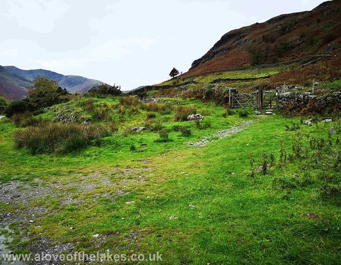 Approaching Dale End Farm