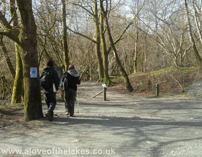 The start of the walk