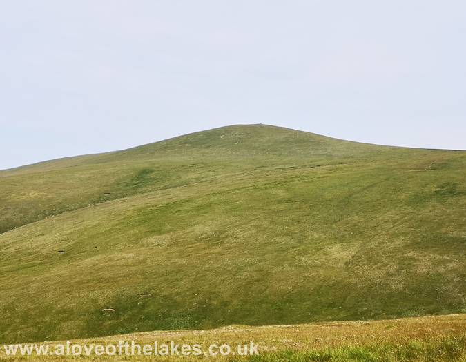 Looking towards Bowscale Fell