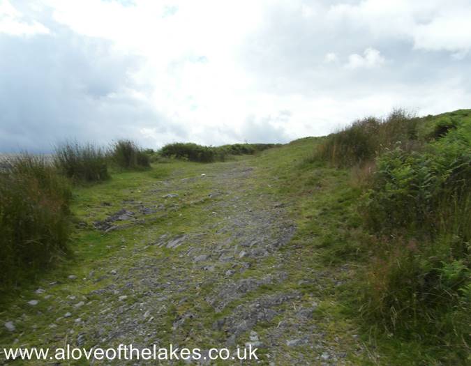 Return back to the main path