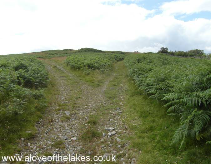 Take the left fork in the path
