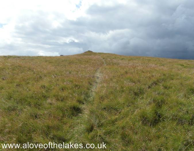 The track to the summit of Harper Hills