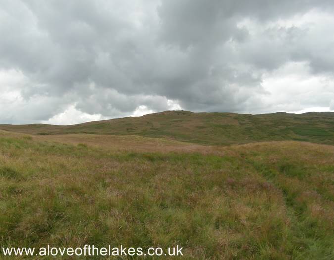 The summit of Harper Hills