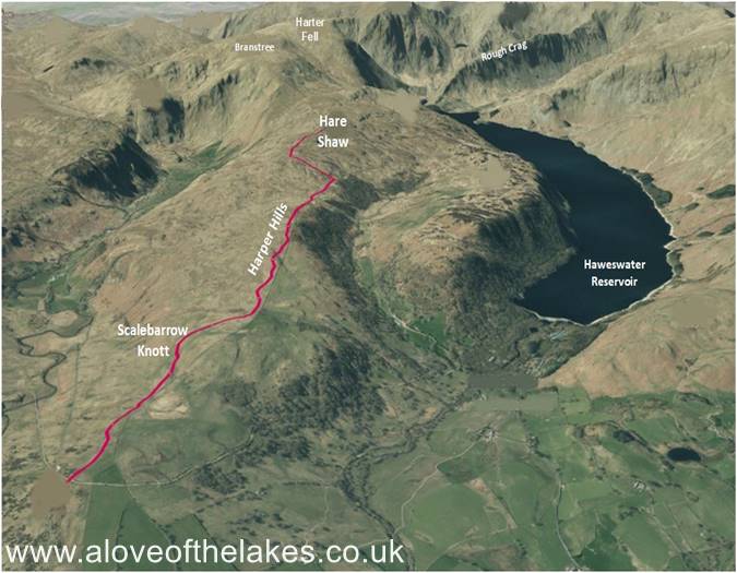 Terrain image