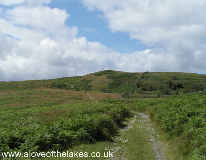 Heading towards Scalebarrow Knott