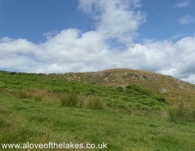 Scalebarrow Knott from the track
