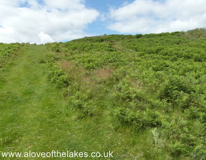 Take the left hand grass track