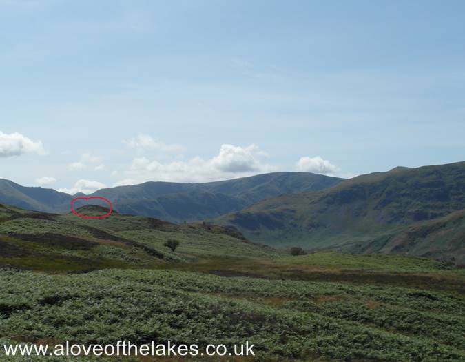 Naddle High Forest