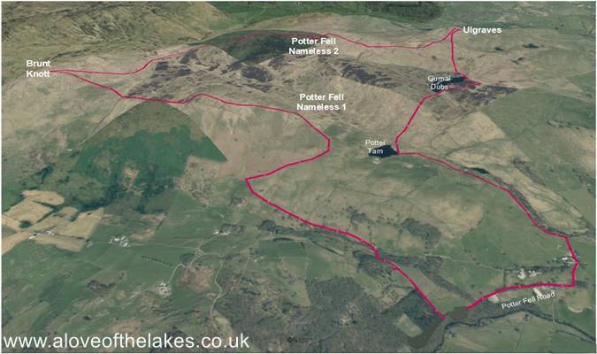 Terrain image