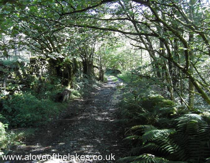 The path leads on to Side House