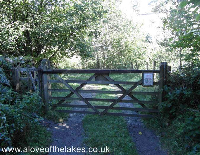 A wooden gate