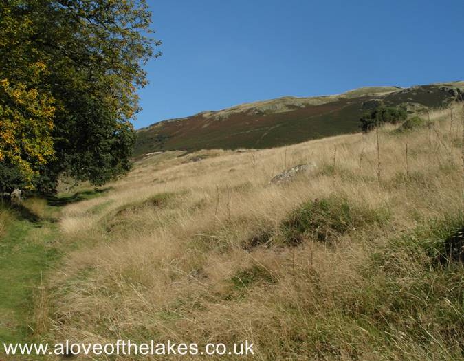 The open fell side