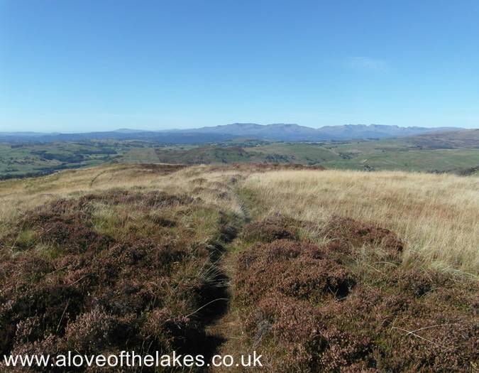 Setting off for Brunt Knott