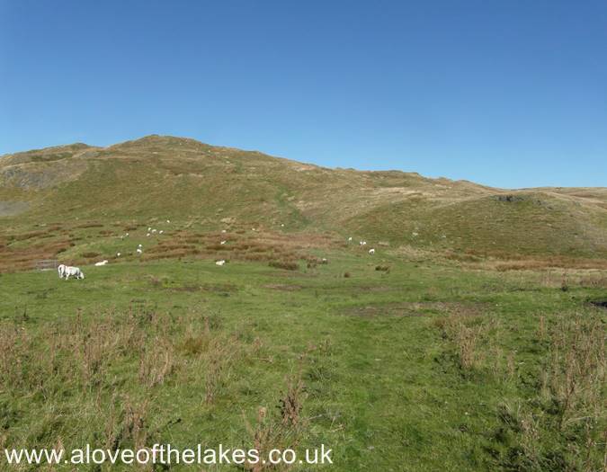 The path now climbs gently towards the summit