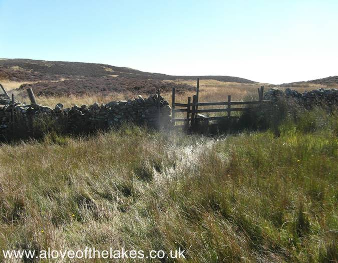 The path leads down to a handgate