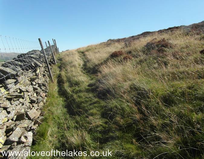 The highest point of the wall