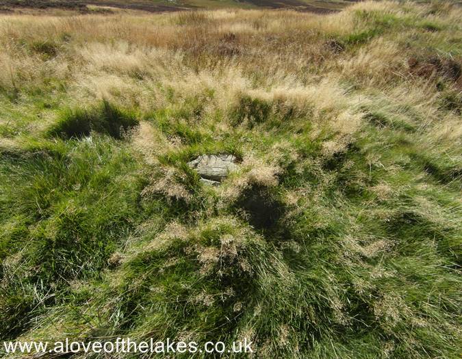 The summit cairn on The Potter Fell nameless summit 2