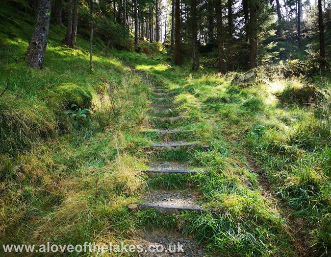 The stepped path