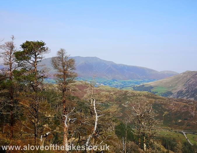 Looking towards Blencathra