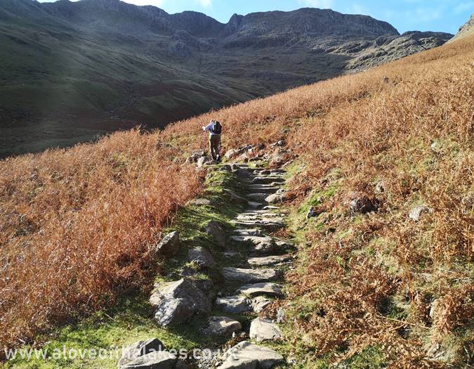 The stepped path