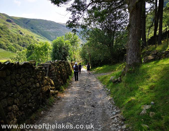 The stony track