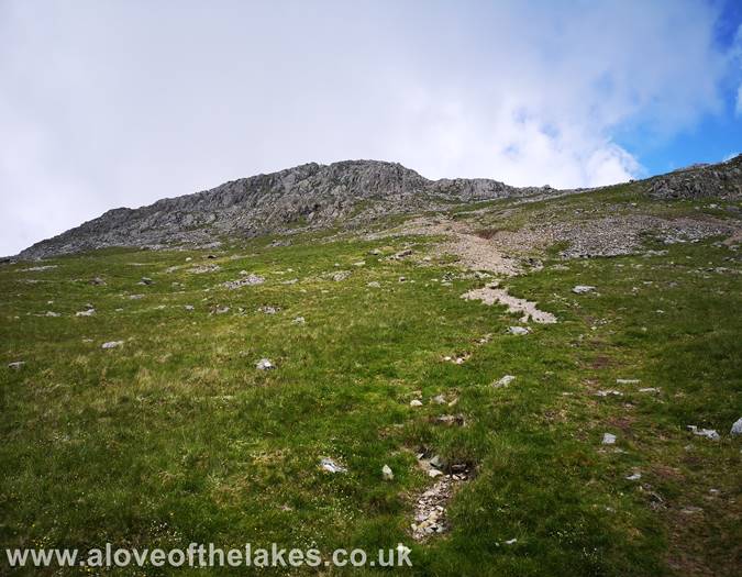 The scree path