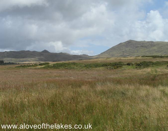 Looking towards The Knott