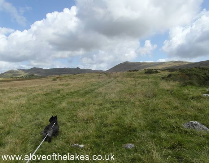 A clear grass track