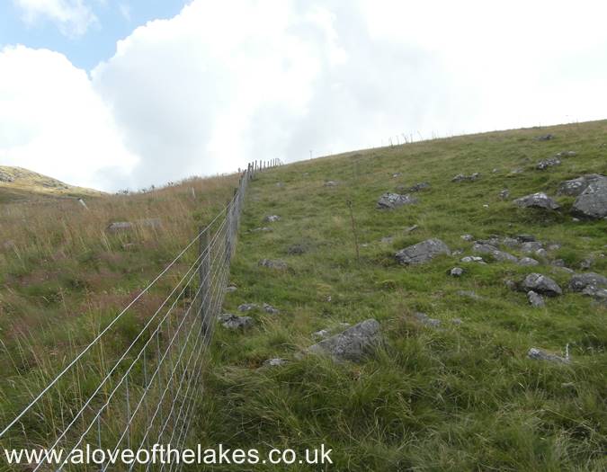 Follow the fence line