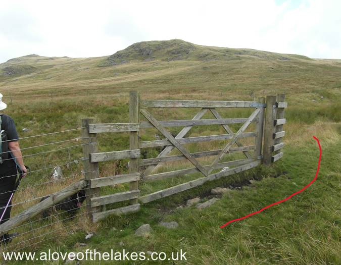 At the gate turn left