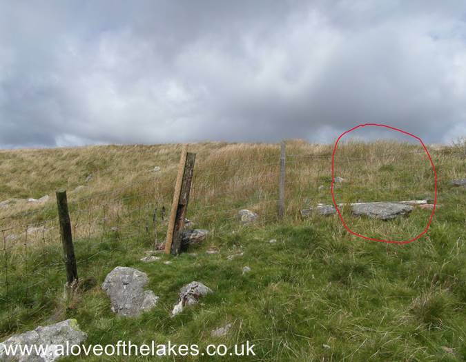 At the top of the fenceline