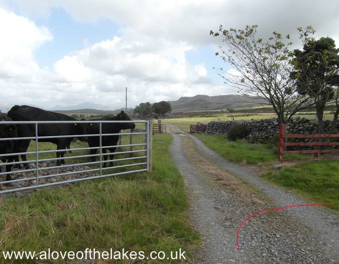 Approaching the Farm