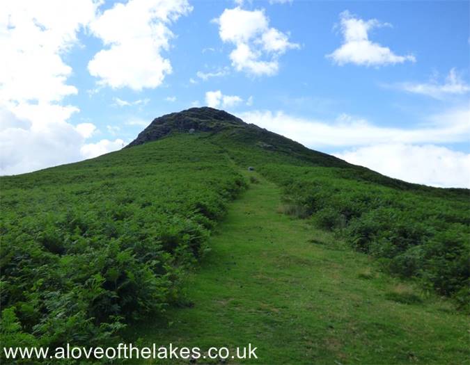 The path to the summit