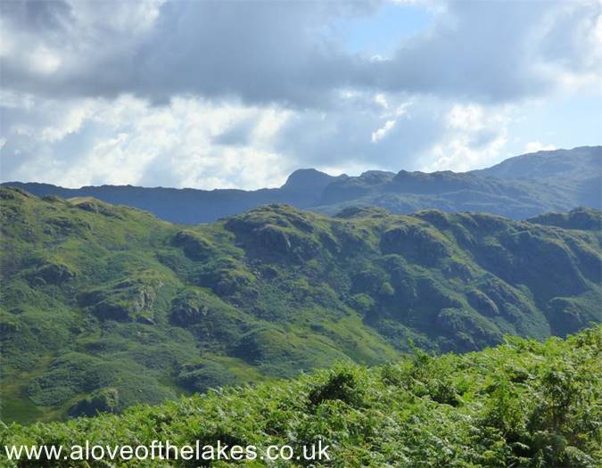 Looking towards the Langdale Pikes