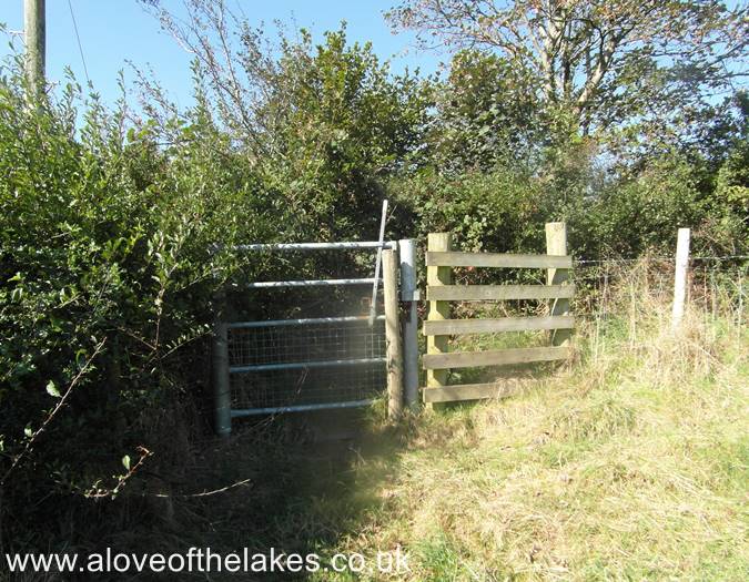 The gate at the bottom of the field