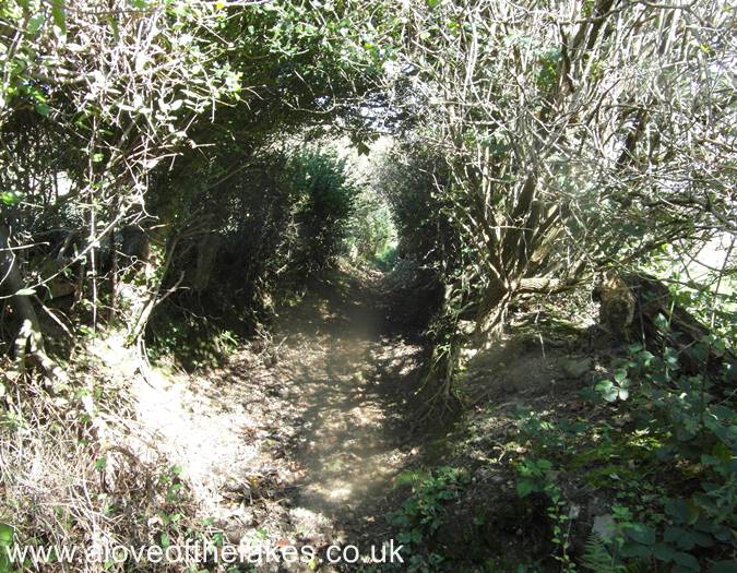 The sunken lane