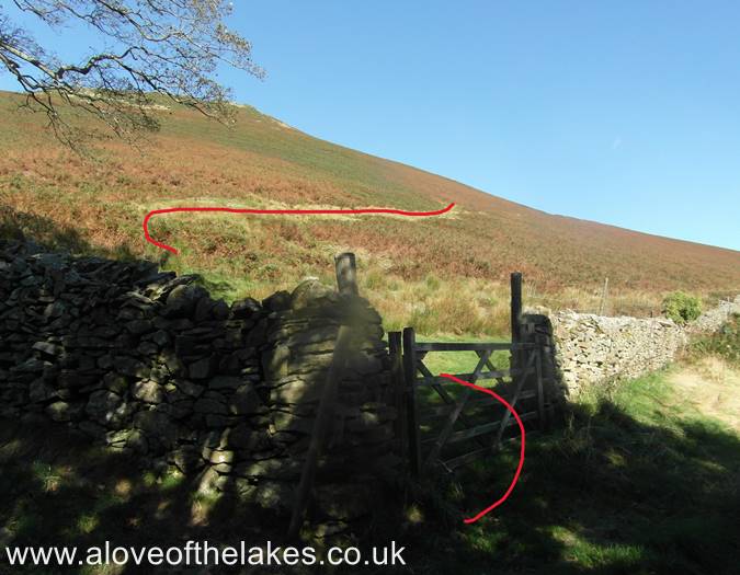 The start of the climb