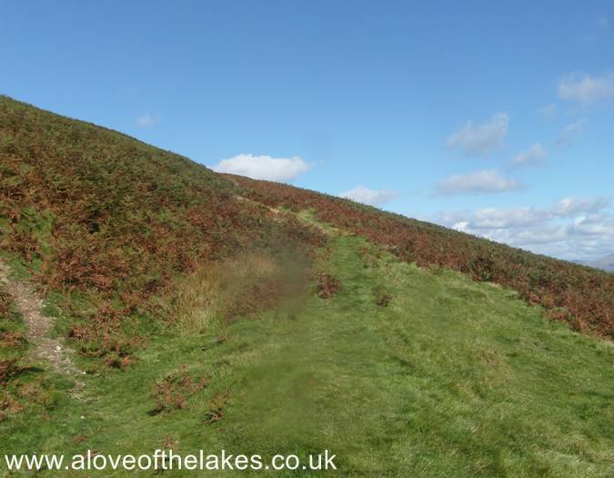 The upper reaches of the the path