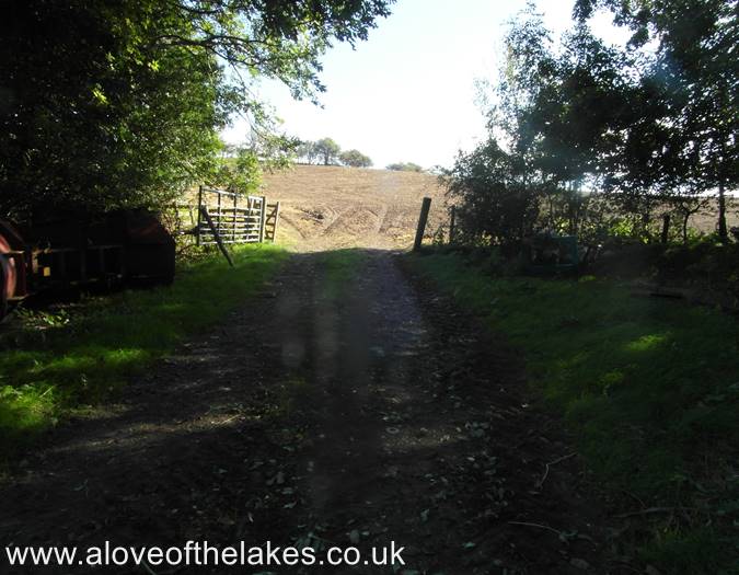 The path leads on to a field